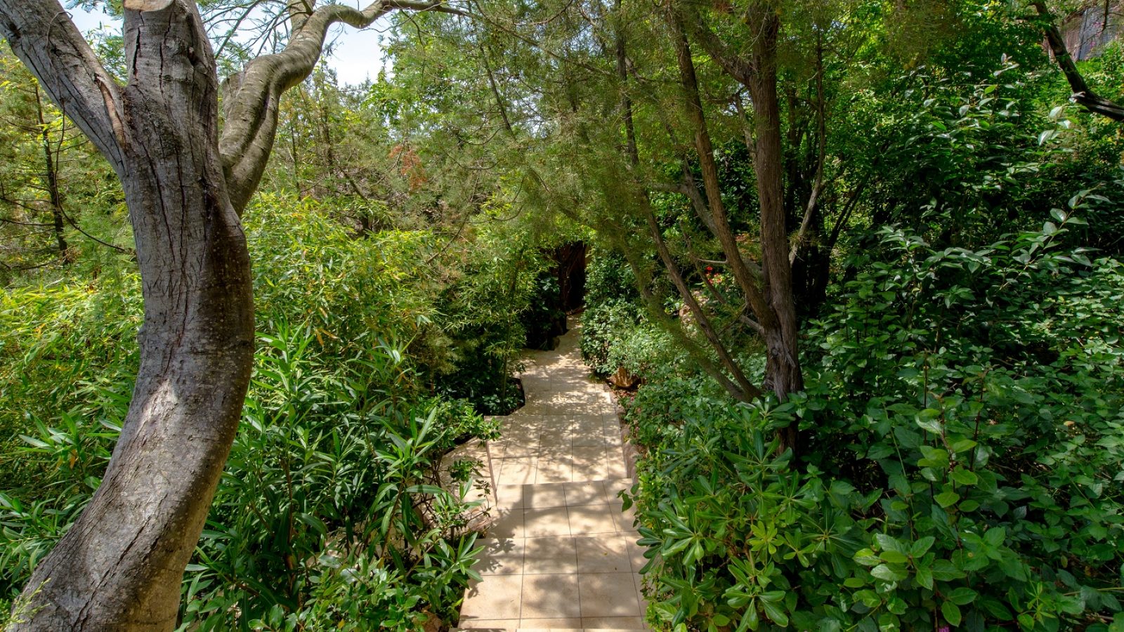 Suite Bien-Être - Suite avec vue mer à Palombaggia